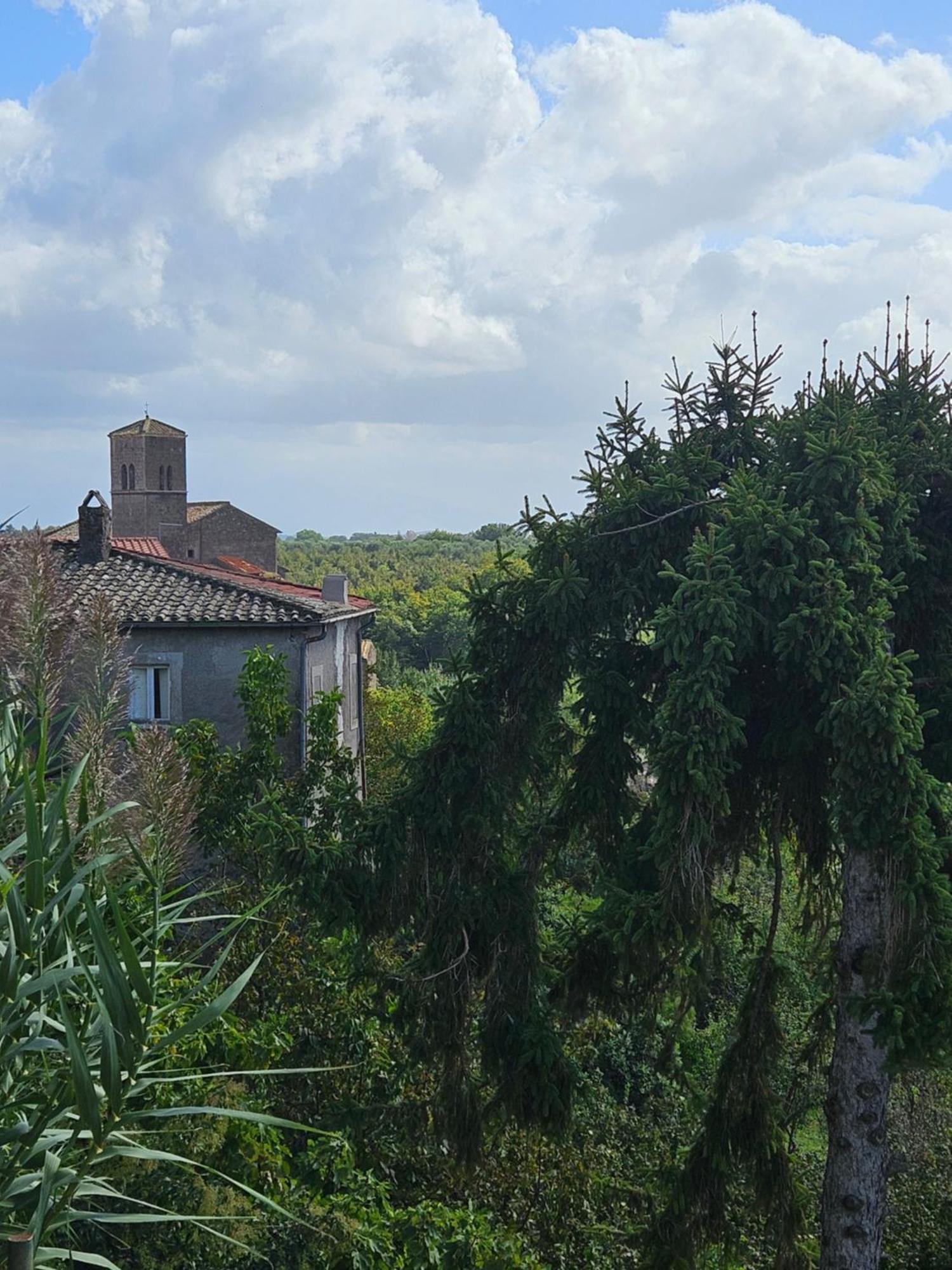 לינה וארוחת בוקר Rignano Flaminio L' Antico Lavatoio מראה חיצוני תמונה